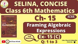 Class 6th ICSE  Selina Math  Ch- 15 Algebraic Expressions Substitution Ex 15 C Full Exercise