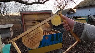 Рамки на які ідуть бджолині рої  Бджільництво для початківців