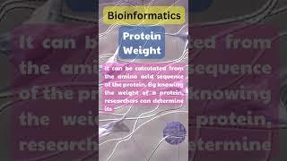 Protein Weigth #bioinformatics #machinelearning