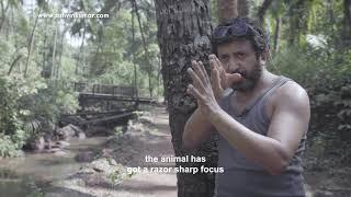 Actors animals & politicians  Learn from filmmaker Ashvin Kumar