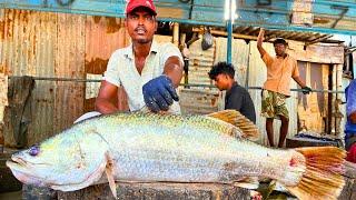 KASIMEDU  SAMKAR BHAI  14 KG BIG GOLD KODUVA FISH CUTTING VIDEO  IN KASIMEDU  FF CUTTING 