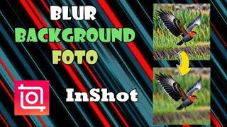 Cara Blur Latar Belakang Foto Menggunakan Aplikasi InShot