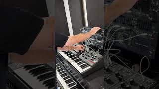 Reflections of an Arpeggiator  #synthesizer #analog #improvisation