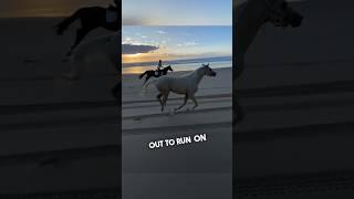 Their horse ran with them on the beach by himself 
