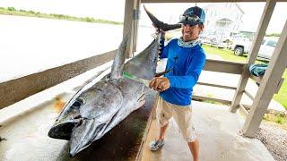 Yellowfin Tuna Wahoo Cobia & Dolphin Fish  Clean N Cook