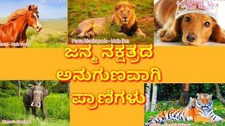 27 Star animals  All Nakshatra animals  Birth Nakshatra Animal in kannada 