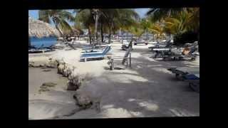 Lions Dive & Beach Resort Willemstad Curacao