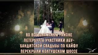Во Всеволожском районе Петербурга участники абу бандитской свадьбы  перекрыли Колтушское шоссе