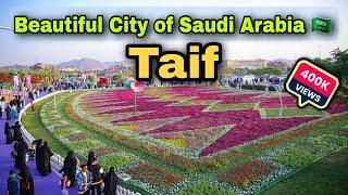 Beautiful City of Saudi Arabia Taif  Taif Saudi Arabia  Abdul Latif Chohan