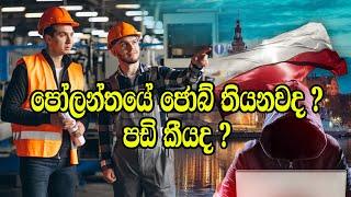 පෝලන්තයේ ජොබ් තියනවද ? පඩි කීයද  Are there jobs in Poland? How much is the salary?