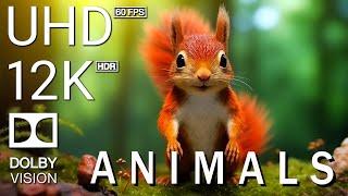 AUTUMN ANIMALS CUTE - 12K Scenic Relaxation Film With Relaxing Music - 12K 60fps Video Ultra HD