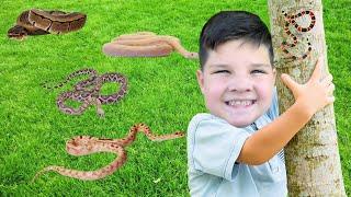 CALEB FOUND a SNAKE on our BUG HUNT