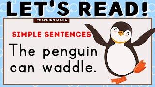 LETS READ  PRACTICE READING ENGLISH  SIMPLE SENTENCES FOR KIDS  LEARN TO READ  TEACHING MAMA