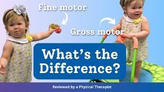 Gross vs. Fine Motor Skills Understanding the Difference & Activities to Support Development