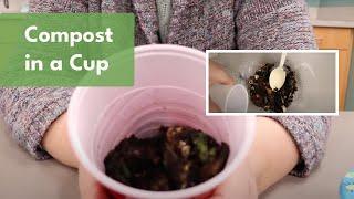 Compost in a Cup  Science & STEAM for Kids