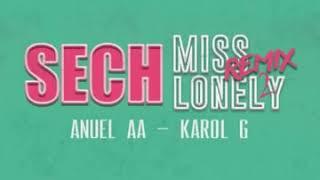 Sech Ft. Anuel AA Karol G - Miss Lonely Official audio
