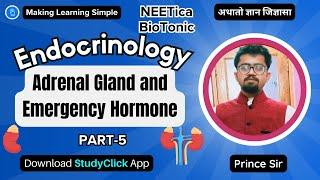 Adrenal Gland and Emergency Hormone  Endocrinology Part-5  #neet