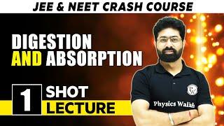 Digestion And Absorption - One Shot Lecture  CHAMPION - JEENEET CRASH COURSE 2022