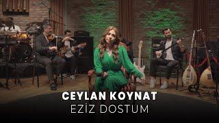 Ceylan Koynat - Eziz Dostum Cover