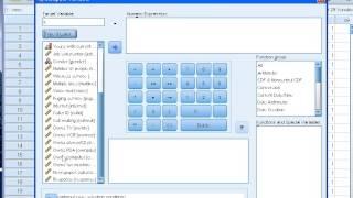 SPSS Tutorials Compute variables