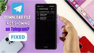 How to Find Downloaded Files in Telegram Fix File Not Showing on Telegram Folder