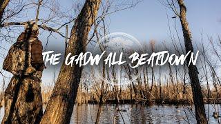 Duck Hunting- Gadwall Beatdown in a Willow Pond
