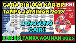 CARA PINJAM KUR BRI TANPA JAMINAN 2023 ?