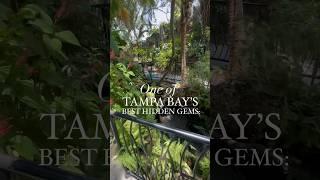 Sunken Gardens  Things To Do Tampa Bay