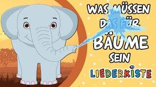 Was müssen das für Bäume sein - German Nursery Rhymes  Liederkiste