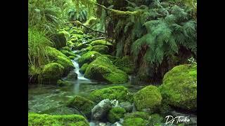 Relaxing River Flowing Sound. Natural Sounds. #forestsounds #naturesounds #relaxing #meditation
