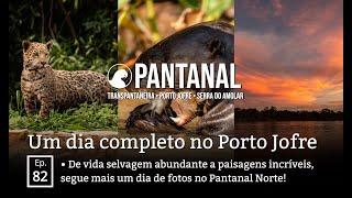 Dia glorioso no Pantanal