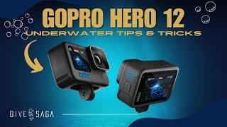 GOPRO 12 Underwater TIPS and my personal settings