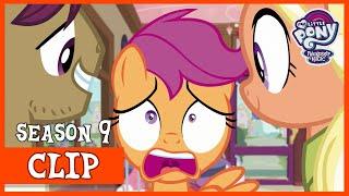 Scootaloos Parents Return to Ponyville The Last Crusade  MLP FiM HD