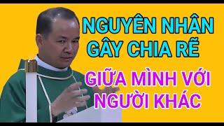 NHỮNG NGUYÊN NHÂN KHIẾN CHÚNG TA CHIA RẼ LẪN NHAU  BÀI GIẢNG HAY CỦA CHA PHẠM TĨNH