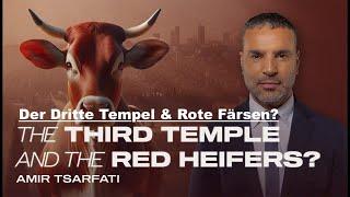 Der Dritte Tempel & Rote Färsen? Amir Tsarfati