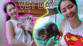 MY MORNING ROUTINE & VET DAY OF MY BABIES  ROB GUINTO