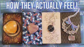 How you THINK they FEEL vs. How they actually FEEL  PICK A CARD Timeless Love Tarot Reading