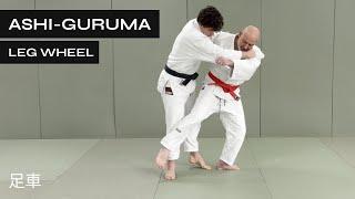 How to do Ashi Guruma in Judo and BJJ  Leg Wheel  足車