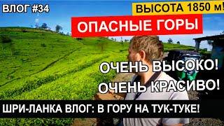 Шри-Ланка На Тук-Туке в ГОРУ 1850 метров Липтон Сит - очень высоко ОЧЕНЬ красиво  ВЛОГ