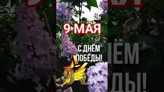 С Днём Победы #победа #евгенийкунгуров #9мая