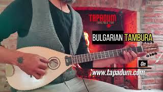 Electro Acoustic Bulgarian Tambura 2