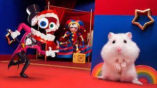 If My Hamster Was In THE AMAZING DIGITAL CIRCUS  Hamster Go