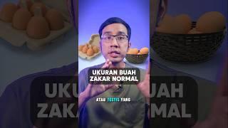 Ukuran Testis Normal