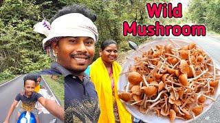 wild vitamin mushroomVillage Cooking Isak munda new videoJangle sabji