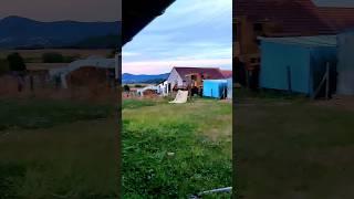 One day in the villageОдин день в деревне #vlog #villagelife #viral