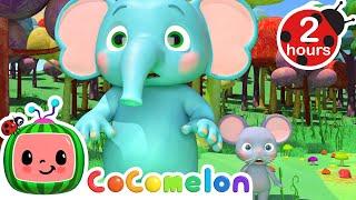 The Elephant and the MouseCoComelonMoonbug Kids   Learning Corner