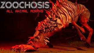 Zoochosis - All Leaks Animal Morphs