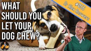 What are the Best Dog Chew Toys - nylabones and antler or are there better? - Dog Health Vet Advice