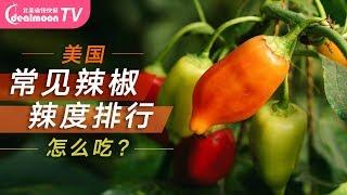 美国常见辣椒辣度排行！做什么菜吃？