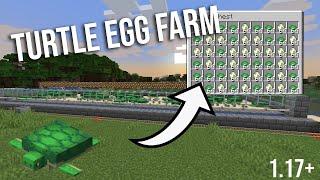 Minecraft Easy Turtle Egg Farm - Tutorial 1.17+